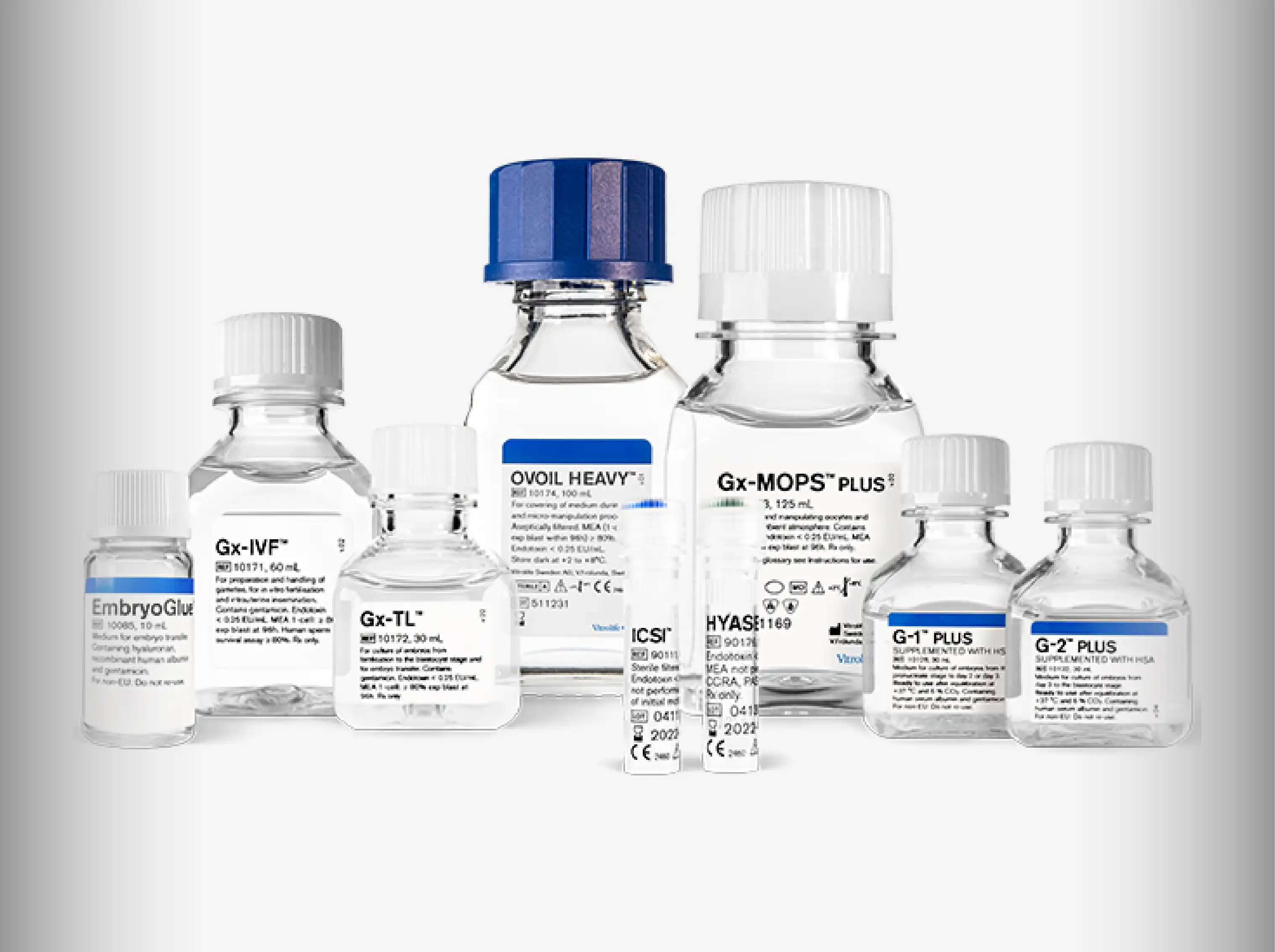 In Vitro Fertilization (IVF) | KSA